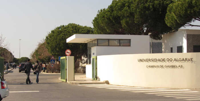 Universidade Algarve